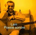 Poesie sonore parole sonanti